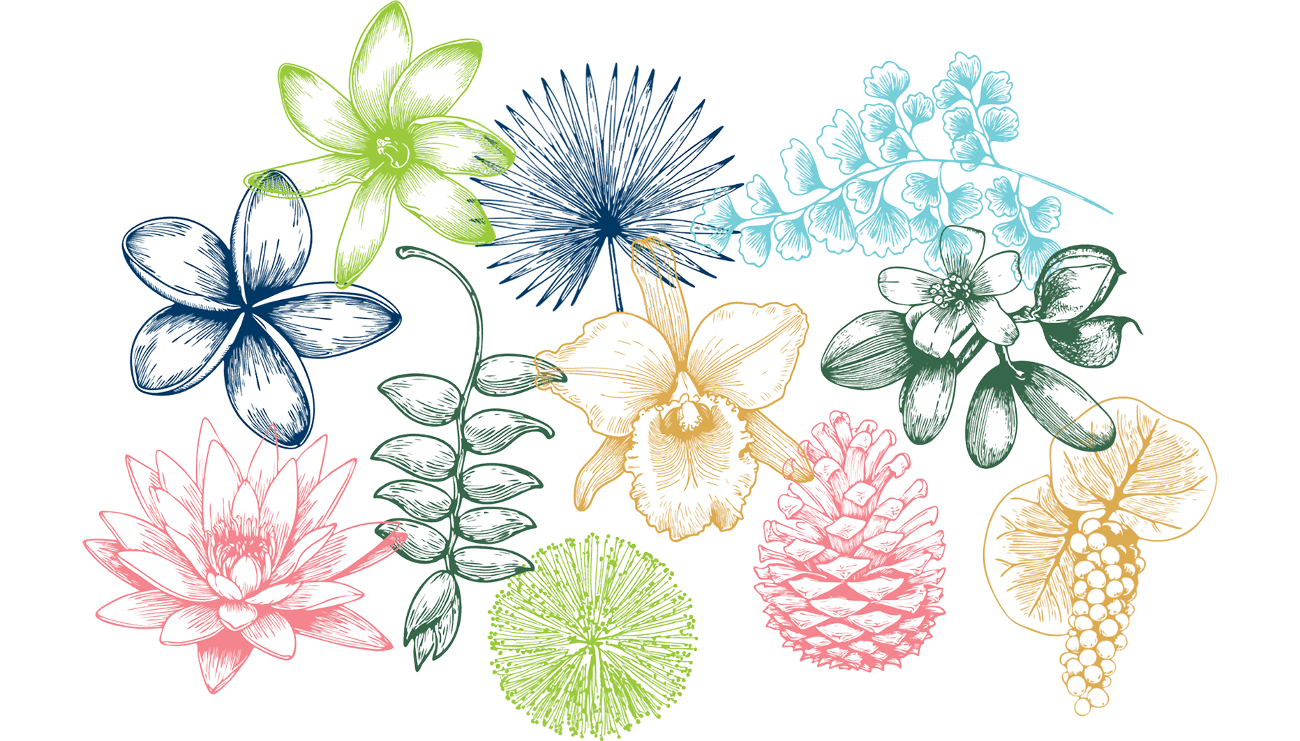 Lilian Santini Portfolio Image - Vizcaya Museum & Gardens